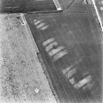 Kirkton Mill, oblique aerial view, taken from the NE, centred on the cropmarks of a round house and rig.