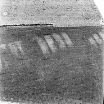 Kirkton Mill, oblique aerial view, taken from the NW, centred on the cropmarks of a round house and rig.