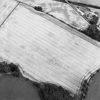 Oblique aerial view centred on the cropmarks of the enclosure, barrow and rig, with the cropmarks of the enclosure, pits, rig and ring-ditch and the farmhouse and farmsteading adjacent, taken from the NW.