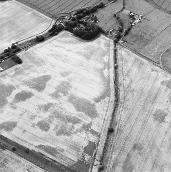 Oblique aerial view centred on the cropmarks of the pits, ringditches, field drain and possible enclosure, with the farmstead, chapel and burial-ground adjacent, taken from the ESE.