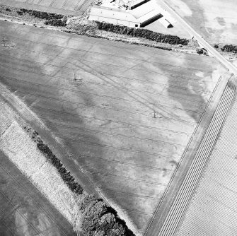 Gilrivie, oblique aerial view, taken from the SE, centred on the cropmarks of a possible unenclosed settlement, souterrains, pits, a pit-alignment and linear cropmarks.