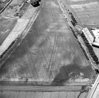 Gilrivie, oblique aerial view, taken from the ENE, centred on the cropmarks of a possible unenclosed settlement, souterrains, pits, a pit-alignment and linear cropmarks.