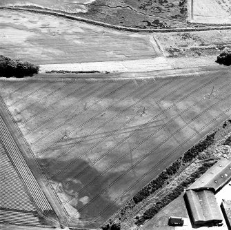 Gilrivie, oblique aerial view, taken from the NNE, centred on the cropmarks of a possible unenclosed settlement, souterrains, pits, a pit-alignment and linear cropmarks.