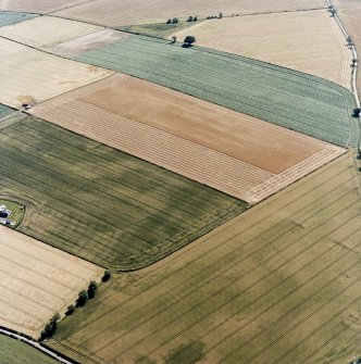 Oblique aerial view centred on the cropmarks of the cursus monuments, with the barrows, pits and rig adjacent, taken from the NE.