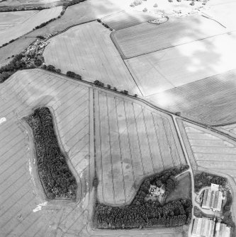 Oblique aerial view centred on the cropmarks of the cursus, enclosed and unenclosed settlement, rig, ring-ditch, barrows and an enclosure, taken from the WSW.