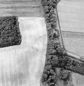 Oblique aerial view of Arbuthnott centred on the cropmarks of a ring-ditch with a tree-lined avenue adjacent, taken from the SE.