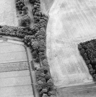 Oblique aerial view of Arbuthnott centred on the cropmarks of a ring-ditch with a tree-lined avenue adjacent, taken from the NW.