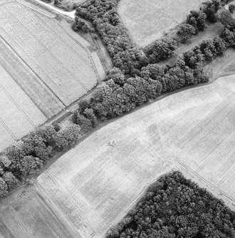Oblique aerial view of Arbuthnott centred on the cropmarks of a ring-ditch with a tree-lined avenue adjacent, taken from the WSW.