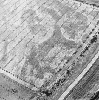 Oblique aerial view of Purlieknowe centred on the cropmarks of a pit-defined cursus with linear cropmarks and a possible pit-alignment adjacent, taken from the SSW.