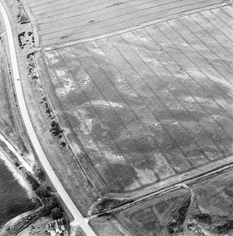 Oblique aerial view of Purlieknowe centred on the cropmarks of a pit-defined cursus with linear cropmarks and a possible pit-alignment adjacent, taken from the ENE.