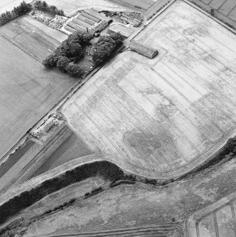 Oblique aerial view of Fernyflatt centred on cropmarks, including those of possible round-houses and an enclosure and pits with a farmsteading adjacent, taken from the NE.