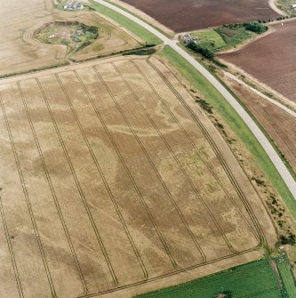 Oblique aerial view of Purlieknowe centred on the cropmarks of a pit-defined cursus with linear cropmarks and a possible pit-alignment adjacent, taken from the WSW.