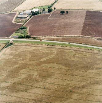 Oblique aerial view of Purlieknowe centred on the cropmarks of a pit-defined cursus with linear cropmarks and a possible pit-alignment adjacent, taken from the WNW.