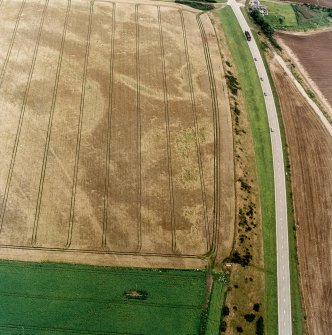 Oblique aerial view of Purlieknowe centred on the cropmarks of a pit-defined cursus with linear cropmarks and a possible pit-alignment adjacent, taken from the SW.