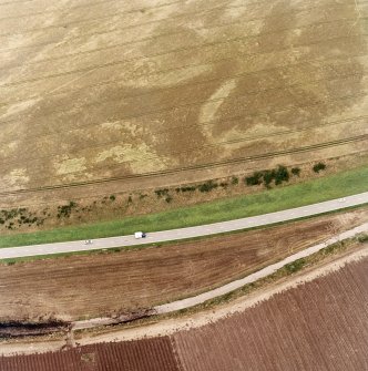 Oblique aerial view of Purlieknowe centred on the cropmarks of a pit-defined cursus with linear cropmarks and a possible pit-alignment adjacent, taken from the SE.