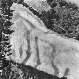 Oblique aerial view.