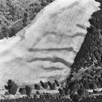 Oblique aerial view.