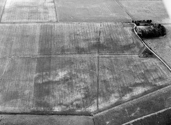 Normandykes, Roman temporary camp, oblique aerial photograph.