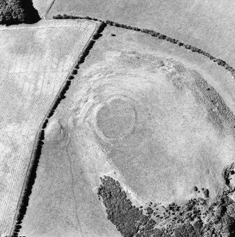 Oblique aerial view of Dowan's Hill centred on the remains of a fort with the cropmarks of another possible fort and rig adjacent, taken from the SE.