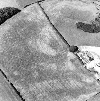 Oblique aerial view of Dowan's Hill centred on the cropmarks of a possible fort and rig with the remains of a fort adjacent, taken from the S.