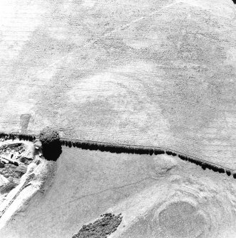 Oblique aerial view of Dowan's Hill centred on the cropmarks of a possible fort and rig with the remains of a fort adjacent, taken from the NE.