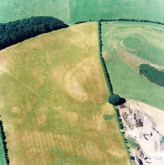 Oblique aerial view of Dowan's Hill centred on the cropmarks of a possible fort and rig with the remains of a fort adjacent, taken from the SE.