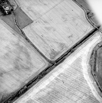 Oblique aerial view of Burnroot centred on the cropmarks of a possible souterrain and a pit, taken from the N.