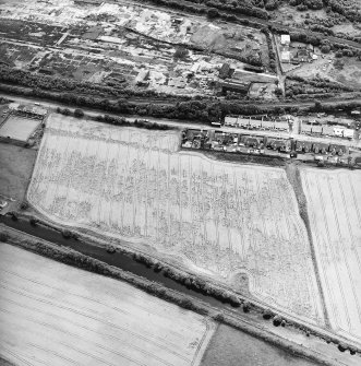 Oblique aerial view centred on the cropmarks of the Antonine Wall, taken from the NNW.