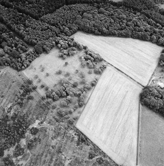 Oblique aerial view