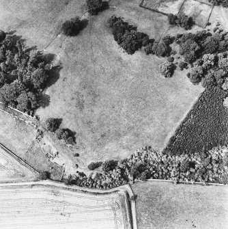 Oblique aerial view from NNE, centred on two L type hangars and the site of a third.