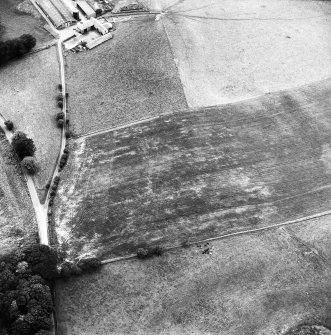 Bonnington Mains, aerial view centred on the cropmarks of a possible enclosure.