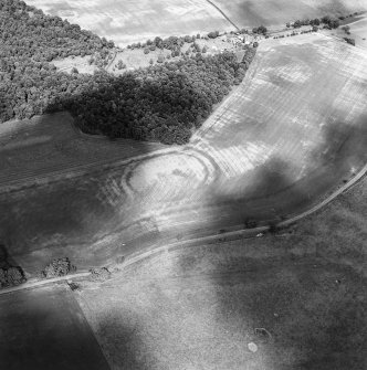 Oblique aerial view centred on the cropmarks of the fort with palisaded settlement adjacent, taken from the WSW.