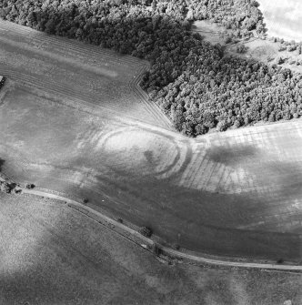 Oblique aerial view centred on the cropmarks of the fort, taken from the SSW.