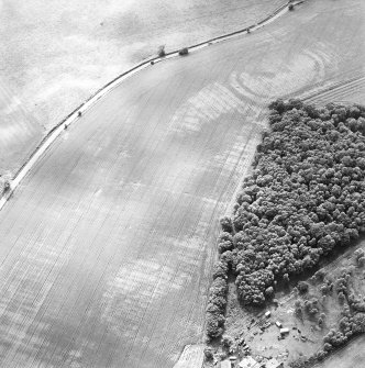 Oblique aerial view centred on the cropmarks of the fort and palisaded settlement, taken from the ENE.