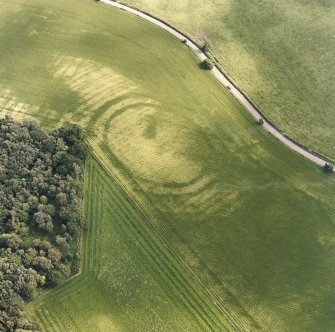 Oblique aerial view centred on the cropmarks of the fort, taken from the NNW.