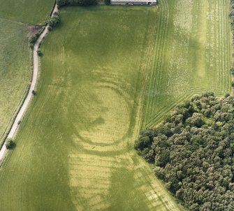 Oblique aerial view centred on the cropmarks of the fort, taken from the ESE.