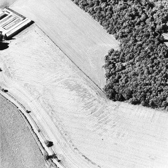 Oblique aerial view centred on the cropmarks of the fort, taken from the S.