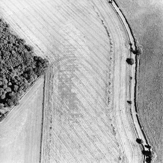 Oblique aerial view centred on the cropmarks of the fort, taken from the NW.