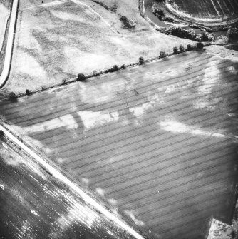 Lochlands and Bogton: Roman temporary camps, pits and cropmarks. Air photograph