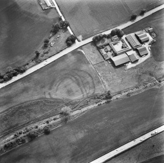 Wester Carmuirs: fort, settlement and ring-ditches. Air photograph