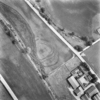 Wester Carmuirs: fort, settlement and palisaded enclosure. Air photograph