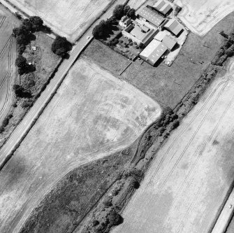 Wester Carmuirs: fort, settlement and palisaded enclosure. Air photograph