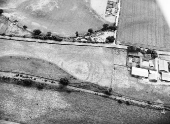 Wester Carmuirs: fort, settlement and palisaded enclosure. Air photograph