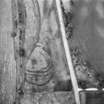 Wester Carmuirs: fort, settlement, palisaded enclosure and ring-ditches. Air photograph