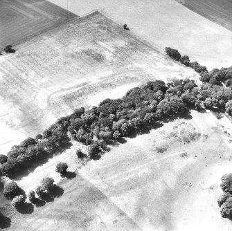 Oblique aerial view