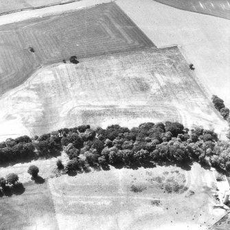 Oblique aerial view