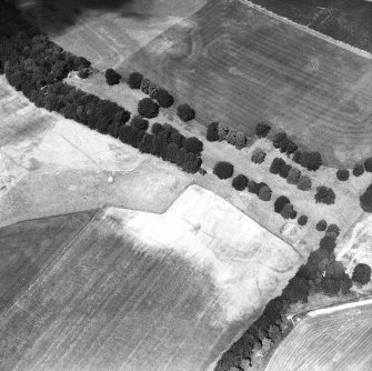 Oblique aerial view