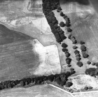 Oblique aerial view