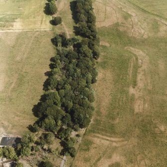 Oblique aerial view.