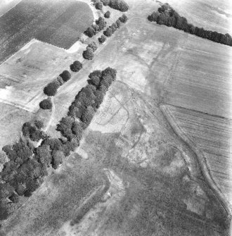 Oblique aerial view